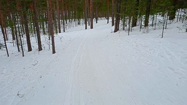 Лыжная Стрела_2 марта 2025 года