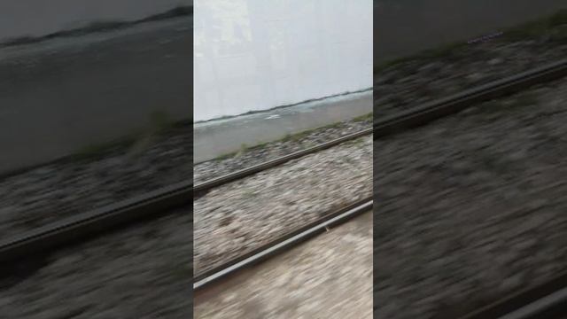 Поездки в общественном транспорте | 6-июл-2025, 4