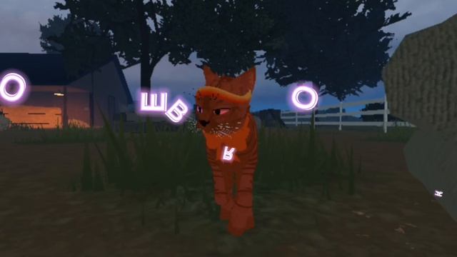 Новый участник