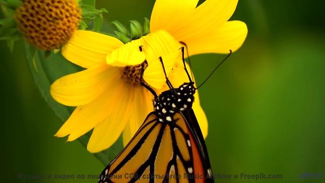 Грозовые тучи и жёсткий дроп! - Revision of The Future (Single Version Instrumental) -- Cairo Braga