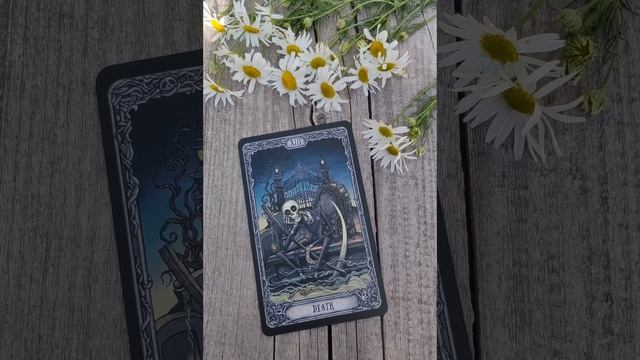 Стрельцы ♐, совет на неделю с 7 по 13 июля.