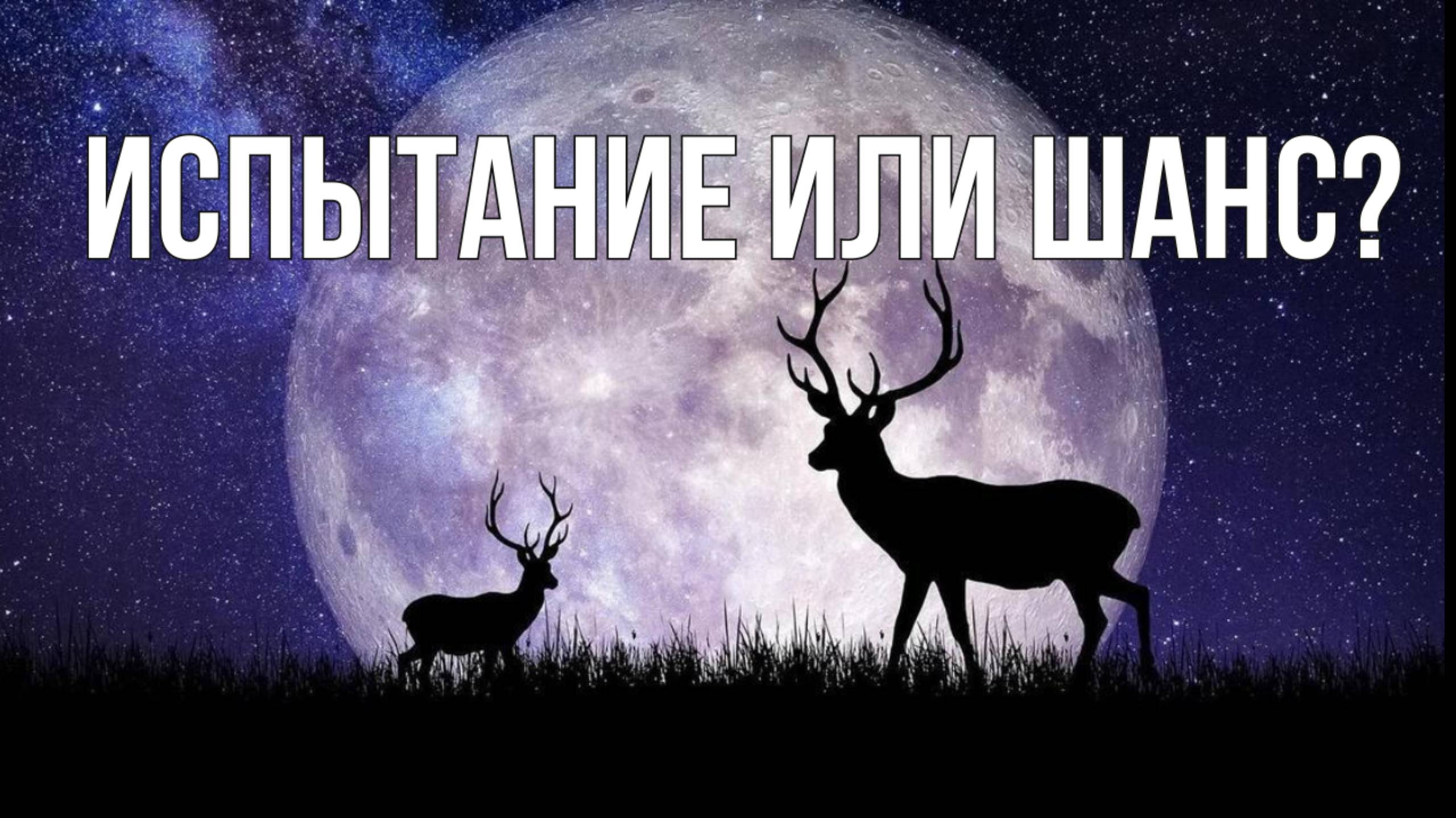 Полнолуние 10 ИЮЛЯ 2025. Оленья Луна. Астрологический ПРОГНОЗ, гороскоп для ВСЕХ знаков зодиака!
