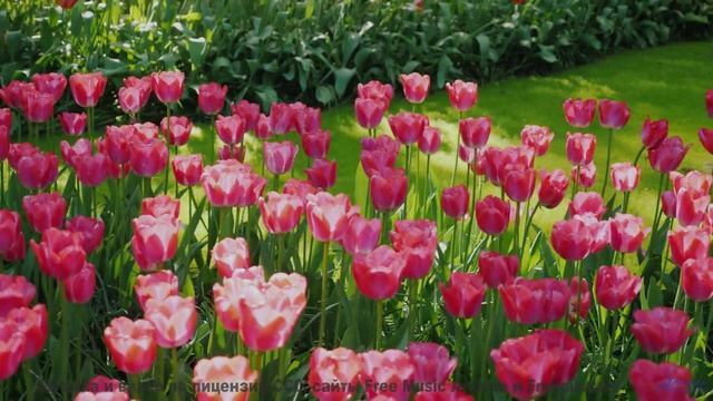 Этот трек заставит вас влюбиться в мир снова! - Talk About the Weather -- Les Hayden -- Home