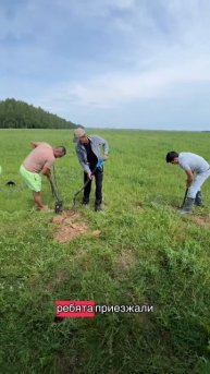 Опять это ферма.