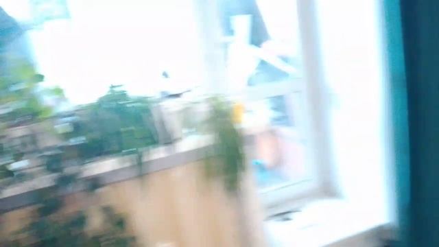 плюсы и минусы жизни в деревне и в городе