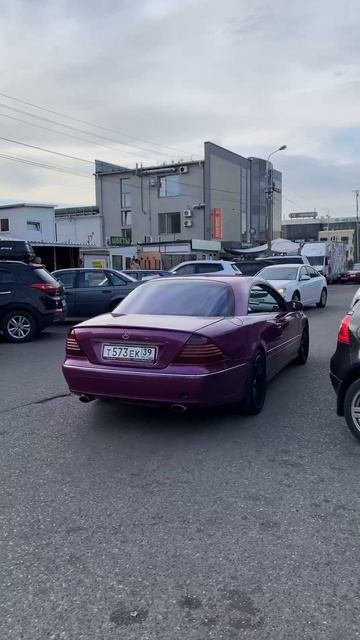 ПАША ПЭЛ И СУЕТА