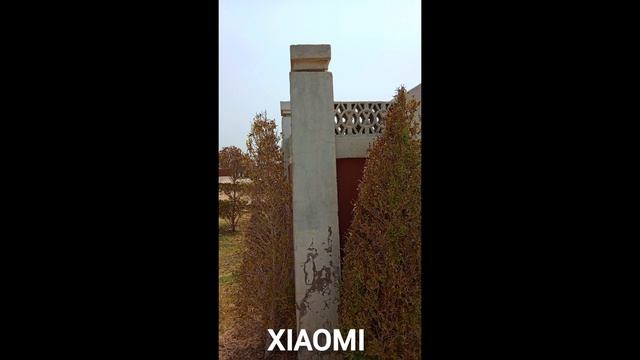 Xiaomi Mix Flip 2 против Motorola Razr 60 - сравнение камер в реальной жизни