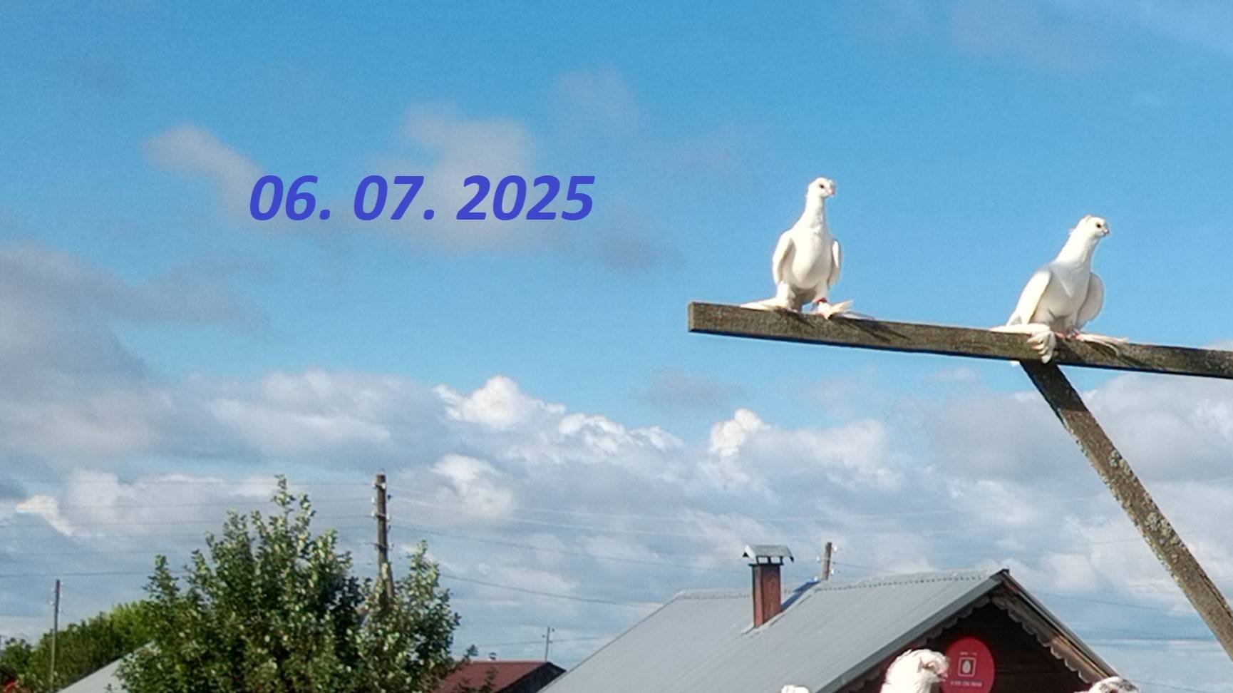 06. 07. 2025 Летаем