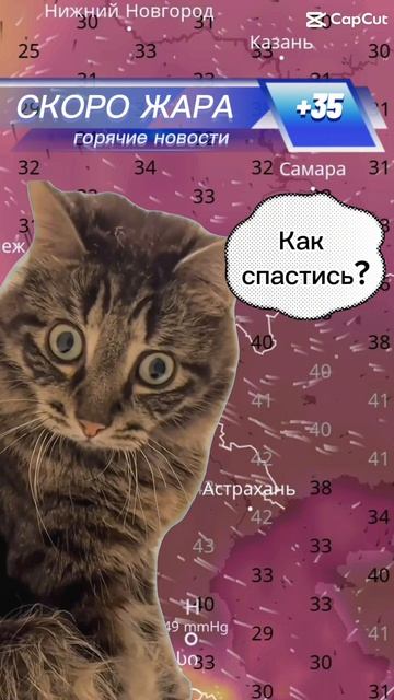 Чайный гриб спасет вас в жару! 🔥🔥🔥