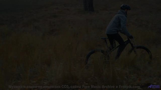 Невероятно -  эта мелодия будто написана самой планетой - Marigold -- Evan Schaeffer -- Afterthought