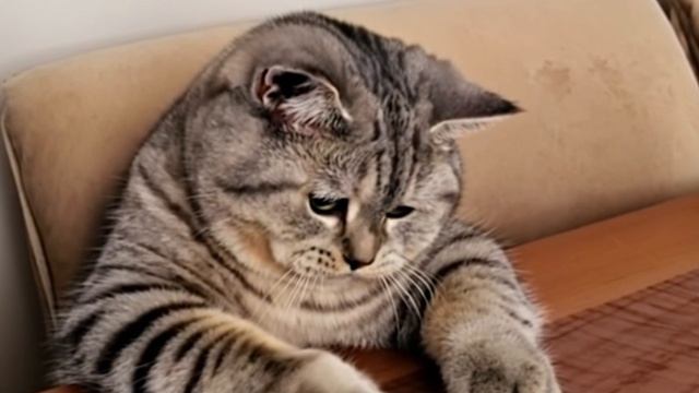 Вчера отмечался День трудоголиков