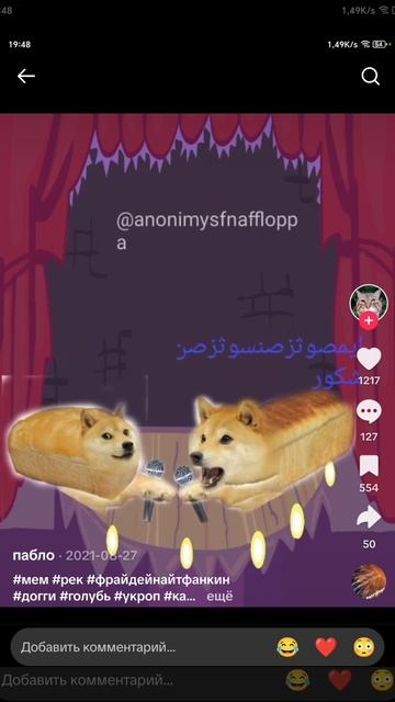 Общение собак