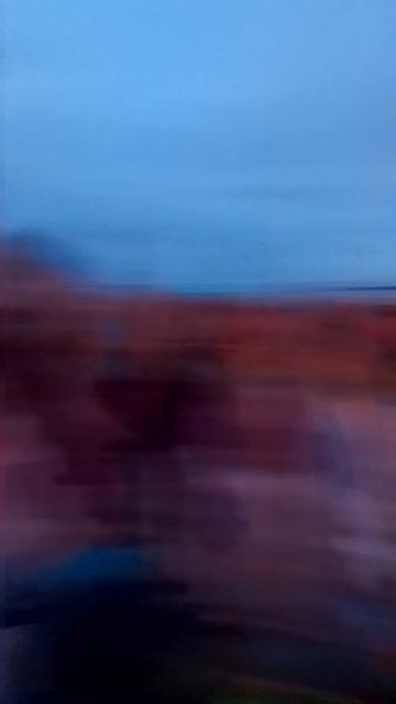 VID_20250705_220408.mp4
