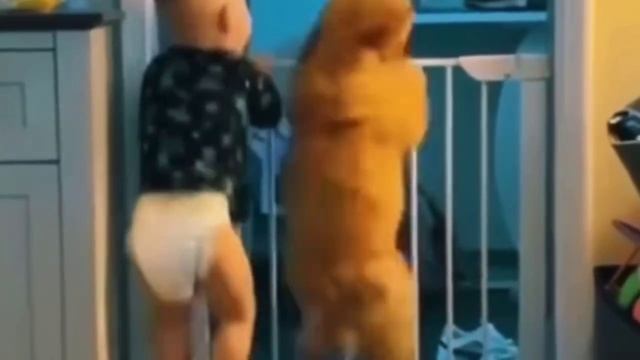 Родители одной перегородкой убили сразу двух зайцев🤣