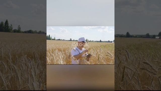не верит.. Ольга Прохорова