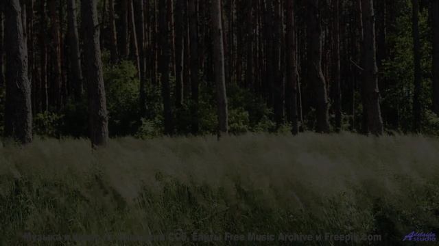 Ты не поймешь, как жил без этого видео раньше! - Ukulele Whistle -- Scott Holmes Music -- Happy Back
