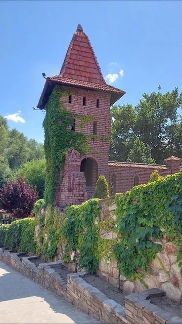 2025'07 парк Лога, Каменск-Шахтинск