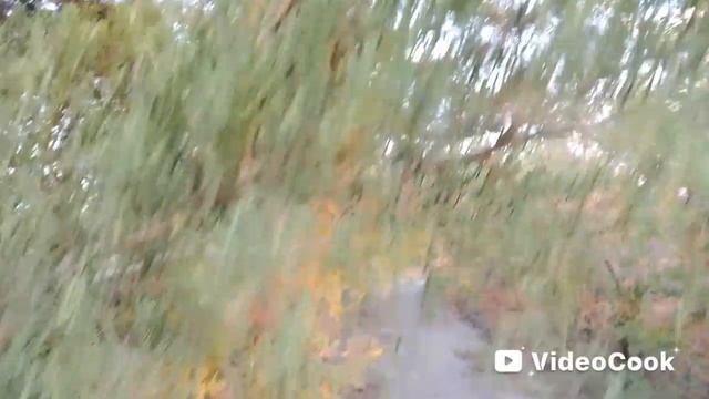 Влад Соколовский - Назад в будущее