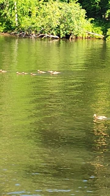 Как же красиво