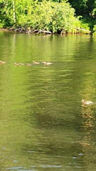 Как же красиво