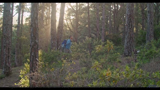 Трек, который превратит твоё восприятие природы в искусство - 05 Chapter Five - (Not) The Marian Kin
