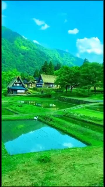 Невероятная природа Тоямы, Япония