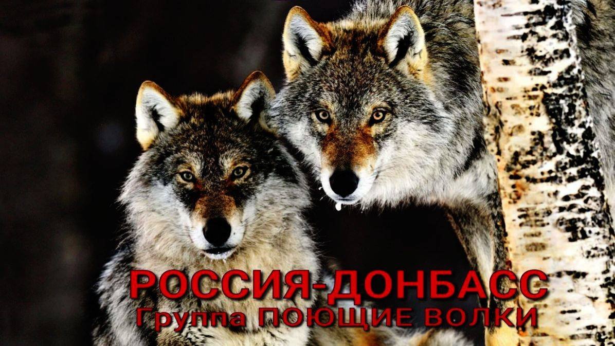 РОССИЯ-ДОНБАСС