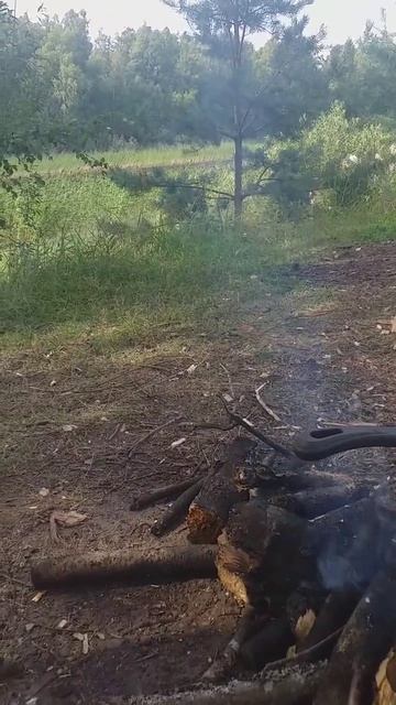 #отдыхнаприроде