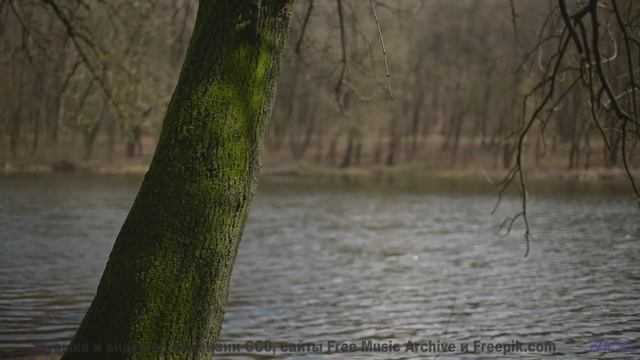 Слушайте её вместе - и почувствуйте, как вы становитесь ближе! - 23 (Years) -- Eyelids -- Live at Mo