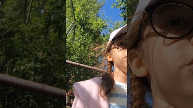 вы полюбите шмелей после этого видео🐝