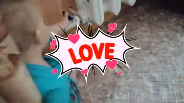 #youtubechild#smart#УМНИЧКА-РАЗУМНИЧКА !!!