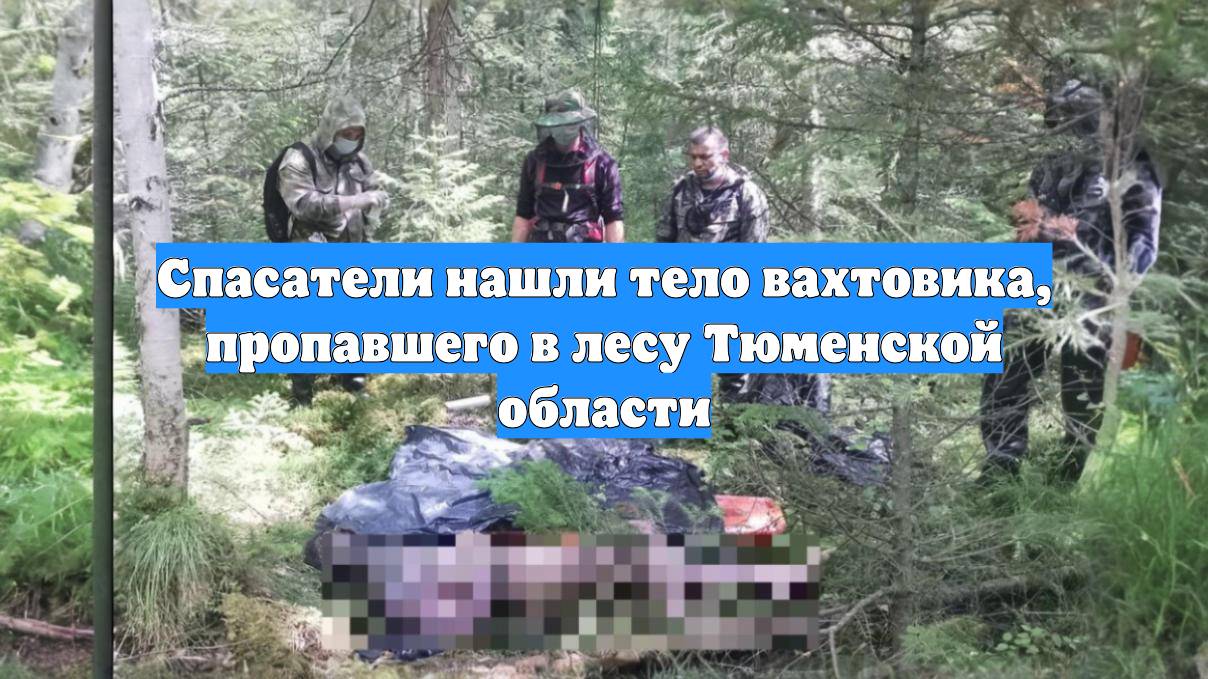 Спасатели нашли тело вахтовика, пропавшего в лесу Тюменской области