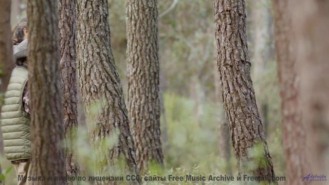 Виды становятся откровением при каждом новом аккорде - Lowest Face -- Derek Clegg -- Man on the Run