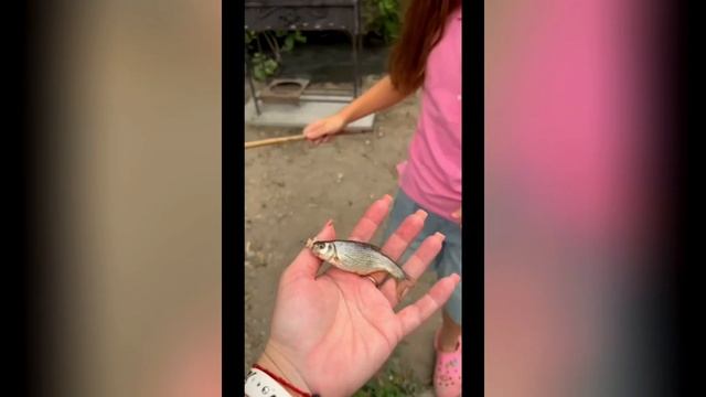 САМУРСКИЙ РАЙ/ ОТДЫХ В ПРИМОРСКОМ