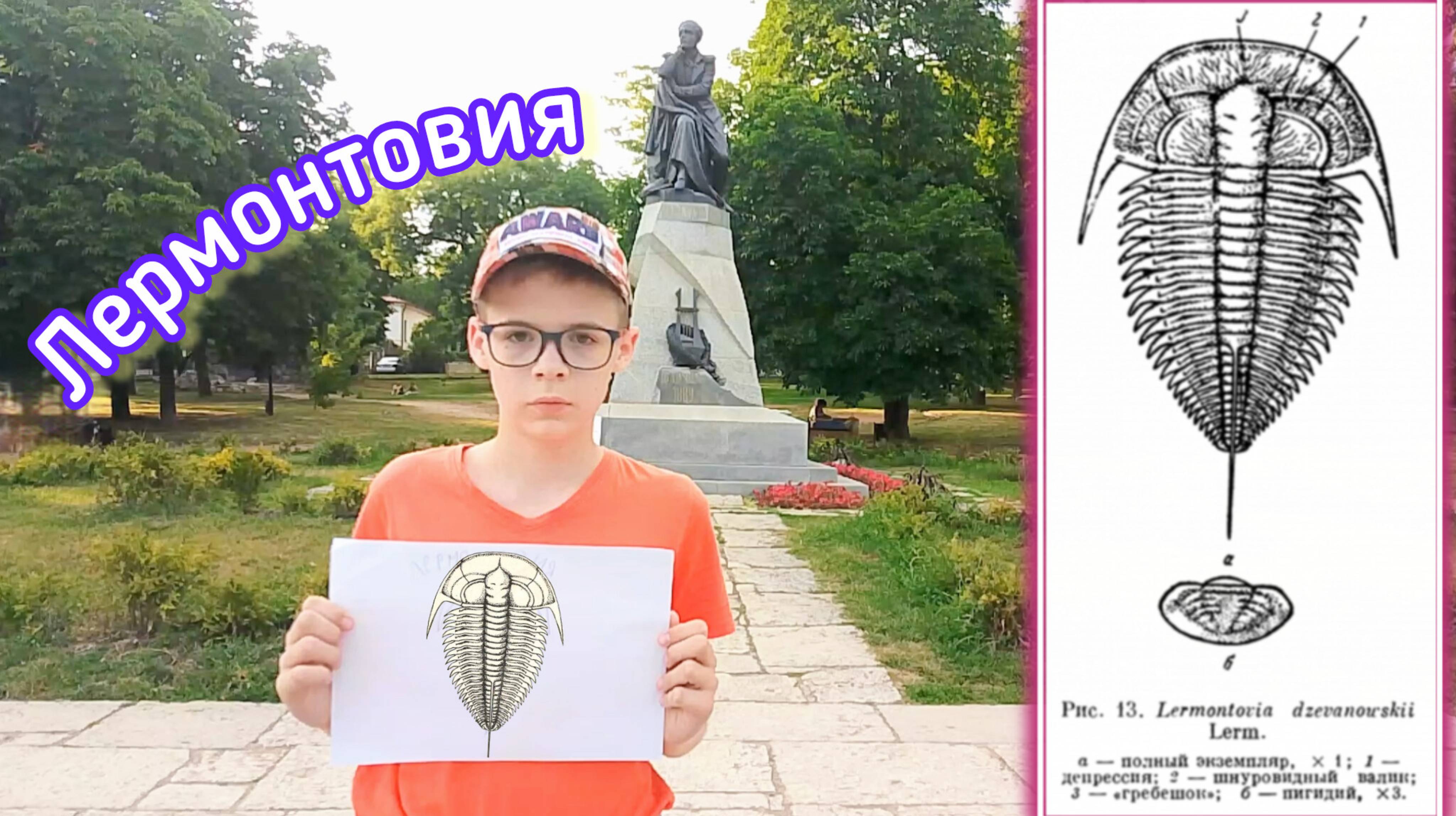 Лермонтовия — редкая информация о трилобите с интересным названием! #рекомендации #палеонтология