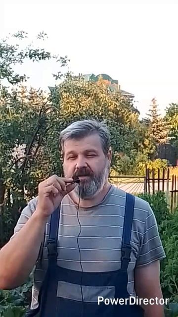 1000038757.mp4/shorts