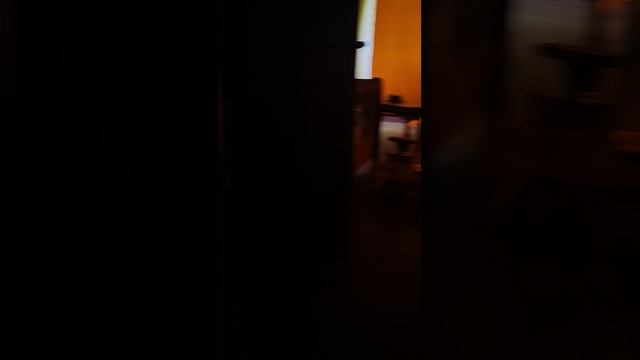 VID_20250707_115835.mp4