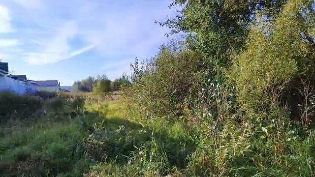 З/у с к.н. 50:28:0030246:443, расположенный по адресу: МО, г.о. Домодедово, мкр. Б/С , ул. Дружная