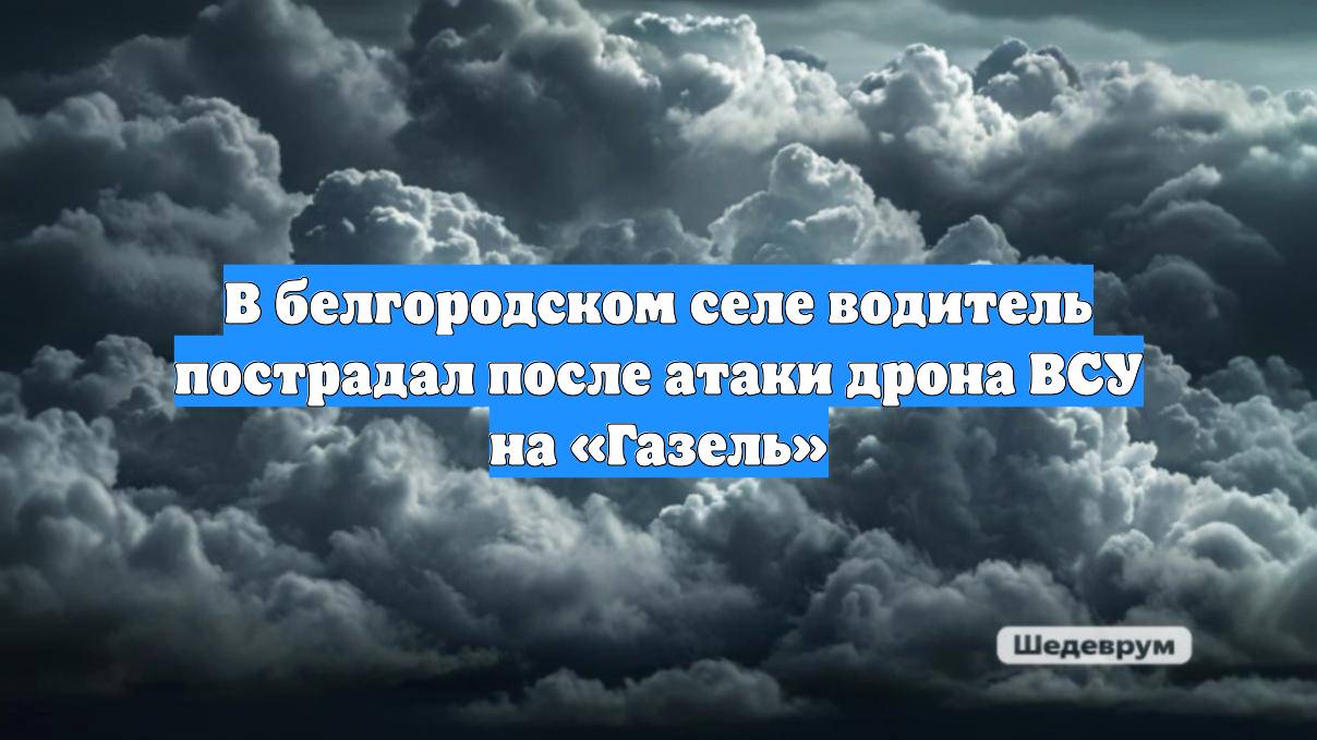 В белгородском селе водитель пострадал после атаки дрона ВСУ на «Газель»