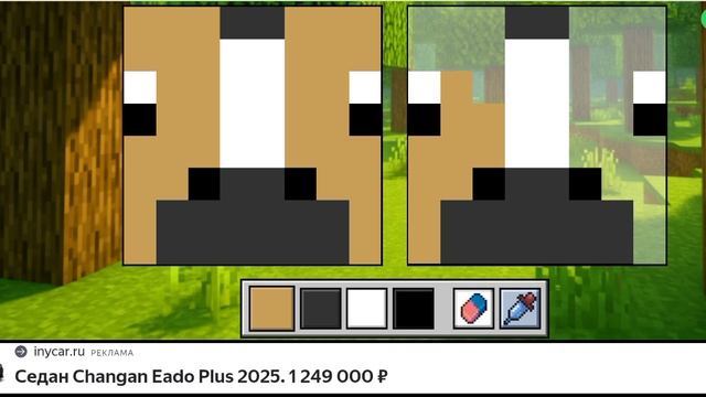 1000002285.mp4