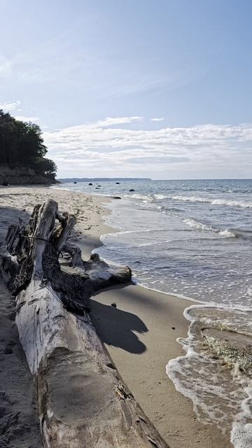 Сапборд-приключение: встреча с морем