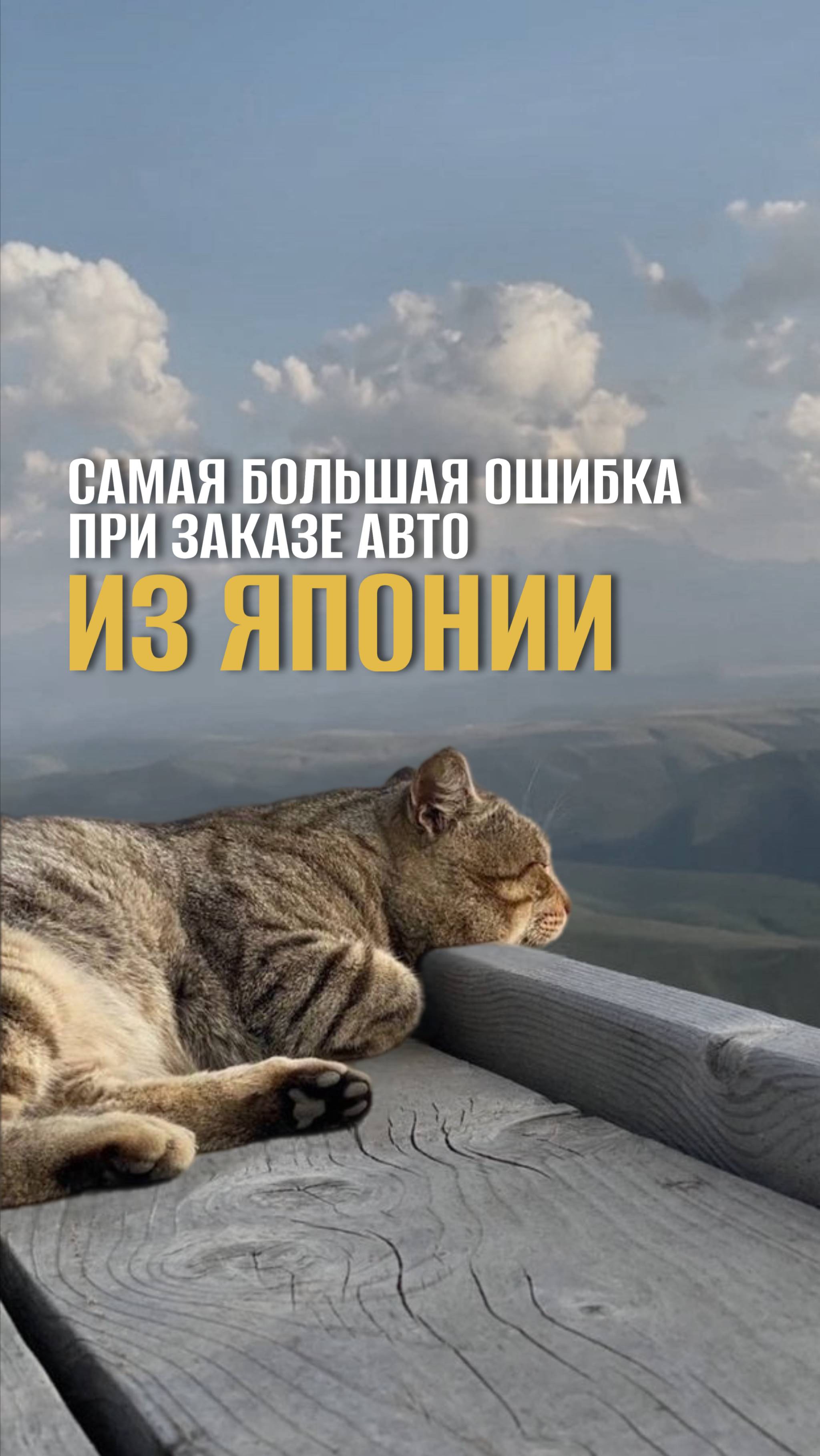 Самая большая ошибка при заказе авто из Японии