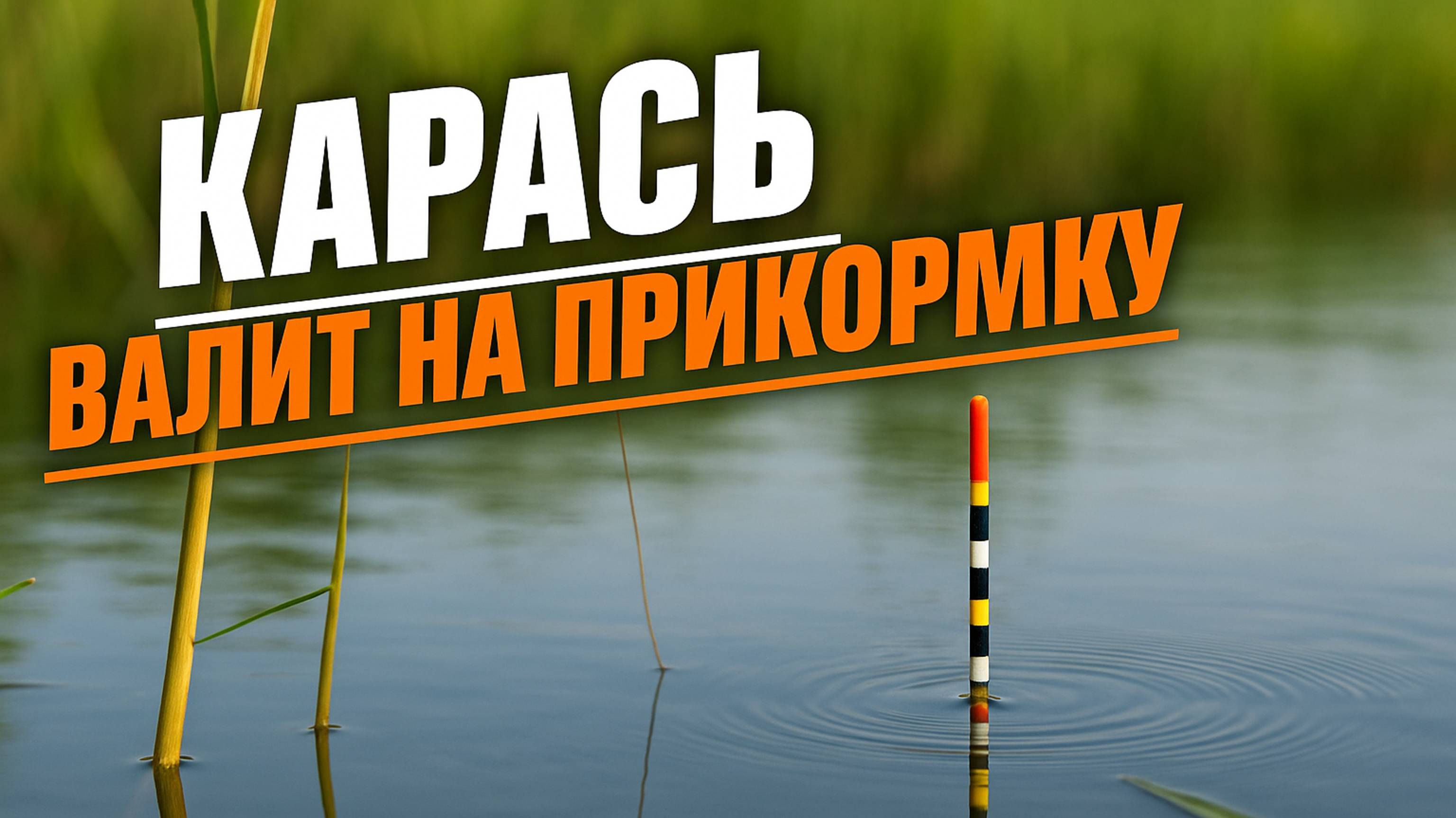 🔥 Рыбалка на карася превратилась в мясорубку! Клёв — заброс за забросом!