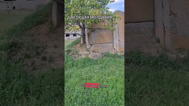 🔴 Да были и не только в Молдавии во всём СССР были. Сейчас нигде нет кроме Белоруссии.
