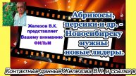 Абрикосы, персики и др. - Новосибирску нужны новые лидеры.