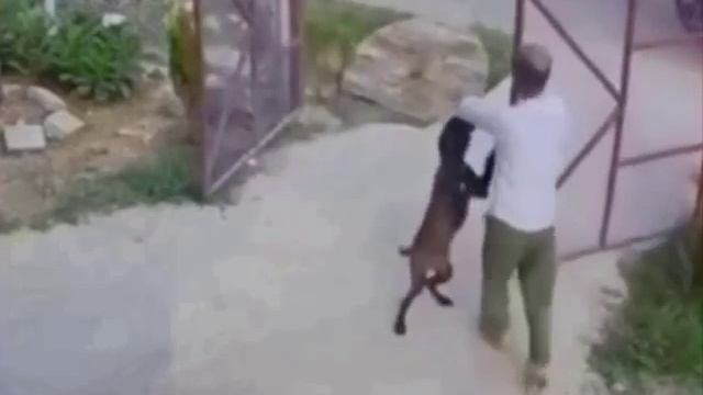 Это страшное слово разлука.