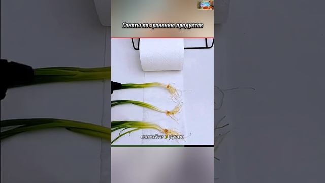 Лайфхаки
