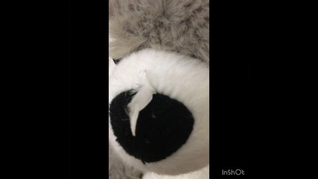 Новый друг тюлень #Shorts