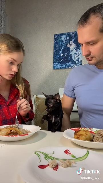 делаю сайты и рекламу в Яндексе для вас) продажи услуги. в профиле инфа