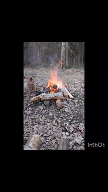 #природа/рыбалка в глуши